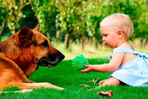 Собаки и дети: подборка для хорошего настроения (видео)