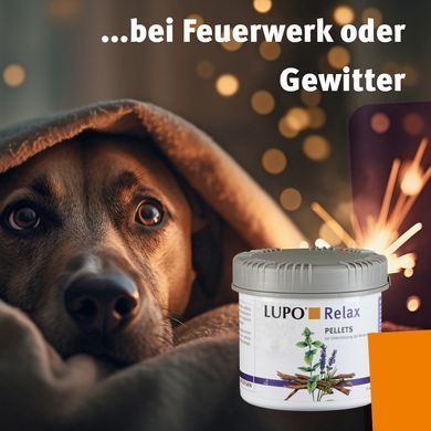 Пищевая добавка для поддержки нервной системы собак LUPO Relax Pellets Luposan