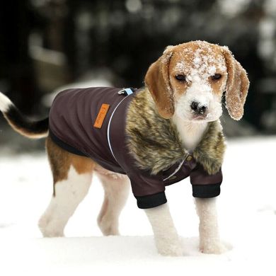Демисезонная куртка с меховым воротником для собак