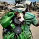 Складная силиконовая миска для собак Rest-Eazzzy Collapsible Bowls for Travel, Зелёный, 1 л