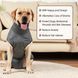 Гігієнічні труси/комбінезон для собак WanTalk Full Body Dog Diaper, Grey, 2XS, 28-32 см, 40-48 см