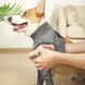 Гігієнічні труси/комбінезон для собак WanTalk Full Body Dog Diaper, Grey, 2XS, 28-32 см, 40-48 см
