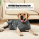 Гігієнічні труси/комбінезон для собак WanTalk Full Body Dog Diaper, Grey, 2XS, 28-32 см, 40-48 см