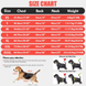 Летняя солнцезащитная одежда для собак Derby Summer Sun-protective Dog Clothing, Pink, M, 45 см, 54-62 см, 43 см