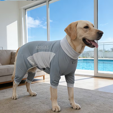 Комбинезон для защиты собак от солнца KOOGAL, Grey