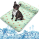 Охолоджуюча підстилка з подушкою Derby Ice Silk Summer Pet Cooling Mat Avocado для домашніх тварин, 40х60 см