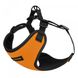 Шлея для собак мелких пород BronzeDog Sport Неопрен 3D Сетка, Оранжевый, X-Small
