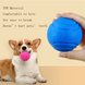 Жевательный мяч для собак TPR Bouncy Pet Ball, Синий, Large