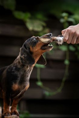 Ласощі для собак UniQ PETS Кролячі вушка з хутром UniQ PETS