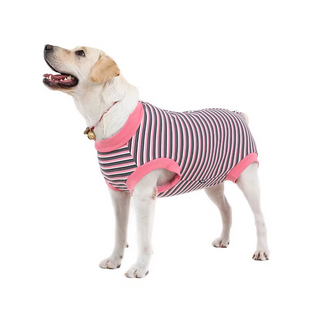 Восстановительная попона для собак Wan Talk Recovery Suit, Pink Stripes Wan talk