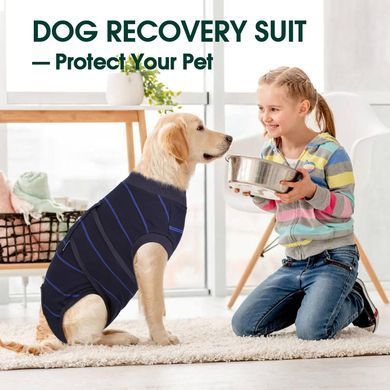 Восстановительная попона для собак Wan Talk Recovery Suit, Dark Blue Stripe Wan talk