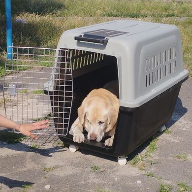 Пластиковая переноска для собак на колесах