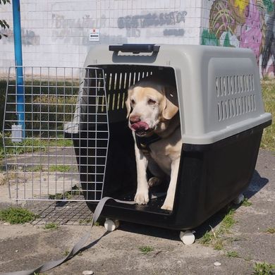 Пластикова переноска для собак на колесах