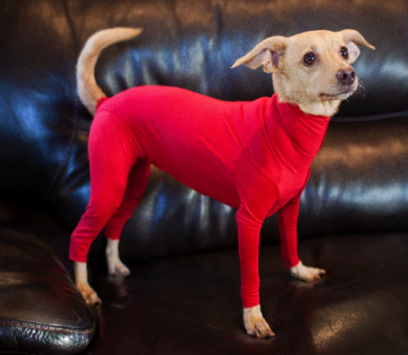 Комбинезон для восстановления собак Derby Long Sleeve Pet Recovery Suite, Red Derby