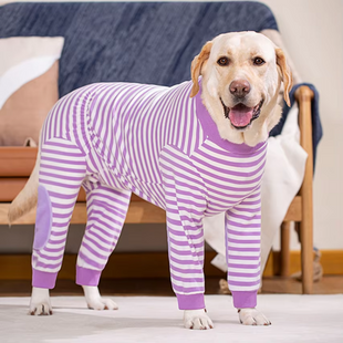 Пижама-комбинезон для собак Dog Recovery Suit, Purple stripes