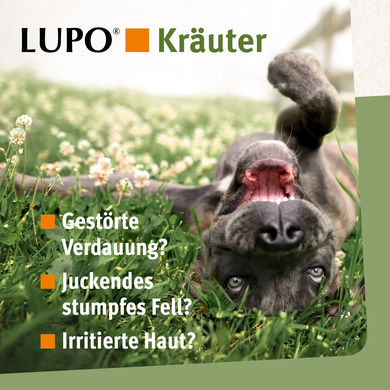 Мультивитаминный комплекс LUPO Krauter Pellets (пеллеты) Luposan