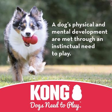 Игрушка для собак KONG Ball with Rope KONG