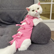 Одяг для котів після операції Holley Bow-knots Pink, L, 38 см, 50 см