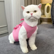 Одяг для котів після операції Holley Bow-knots Pink, L, 38 см, 50 см