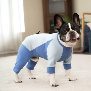 Комбінезон для собак LOVEPET Velvet Fleece Jumpsuit, Blue