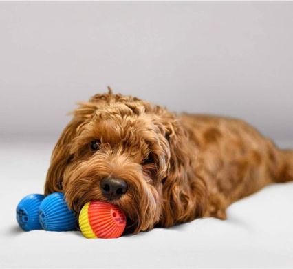 Інтерактивна іграшка-м'яч для собак Pet Qwerks Talking Babble Ball Pet Qwerks Toys