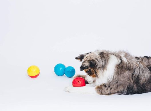 Інтерактивна іграшка-м'яч для собак Pet Qwerks Talking Babble Ball Pet Qwerks Toys