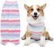 Костюм для восстановления собак WanTalk Striped Recovery Suit, Pink, S, 25 см, 32 см, 21 см