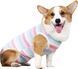 Костюм для восстановления собак WanTalk Striped Recovery Suit, Pink, S, 25 см, 32 см, 21 см
