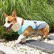 Летний охлаждающий жилет для собак Derby Summer Dog Cooling Vest PA0115, XL, 60-70 см, 72-95 см