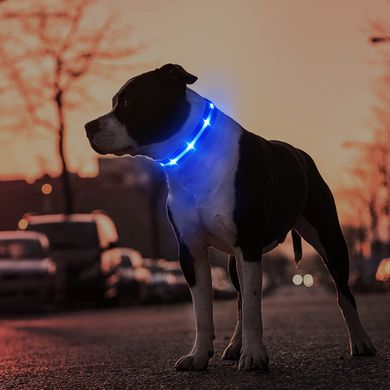 LED ошейник MASBRILL для собак
