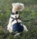 Зимова куртка для собак V.PET.B.R. Luxury Dog Jacket C519 Black&Cream, S, 22,5 см, 39 см, 27 см