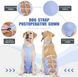 Дихаюча попона для собак Derby Breathable Pet Recovery Suite, Blue, S, 30-35 см, 30-42 см, 32 см
