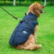 Світловідбиваюча зимова куртка для собак Tibetan Blue, S, 22 см, 36 см, 26,5 см