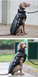 Светоотражающая зимняя толстая куртка для собак Black/Grey, 6XL, 71 см, 92 см, 64 см