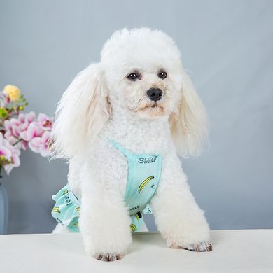 Багаторазовий підгузок для сук Derby Banana на шлейках, Blue Derby