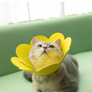 Мягкий воротник для кошек и небольших собак Derby Felt Daisy Elizabeth Collar, Yellow Derby
