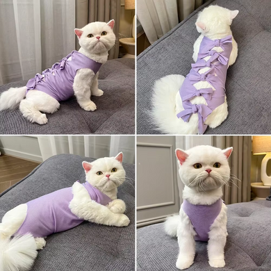Одяг для котів після операції Holley Bow-knots Purple Holley