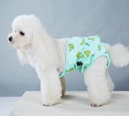 Багаторазовий підгузок для сук Derby Banana на шлейках, Blue Derby