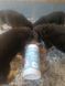 Молочна суміш для цуценят Markus-Muhle Puppy Milk, 1 кг
