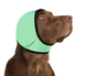 Навушники для захисту слуху собак 3D Breathable Mesh, Mint Green, L