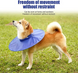 Ветеринарний комір для собак Total Pet Health, Blue, XL