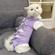 Одяг для котів після операції Holley Bow-knots Purple, M, 32 см, 40 cм