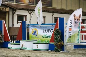 Змагання по танцям з собаками "Осенний бриз - 2019". Одеса, 27.10.2019
