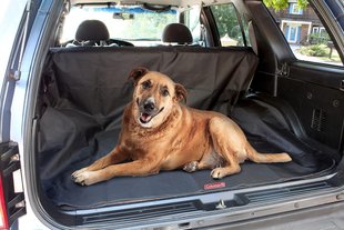 Водонепроницаемый чехол на сиденья автомобиля Coleman Cargo Area Liner & Protector для собак