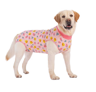 Послеоперационный боди для собак LOVEPET Pink yellow duck
