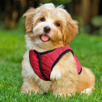 Флисовая жилетка для собак