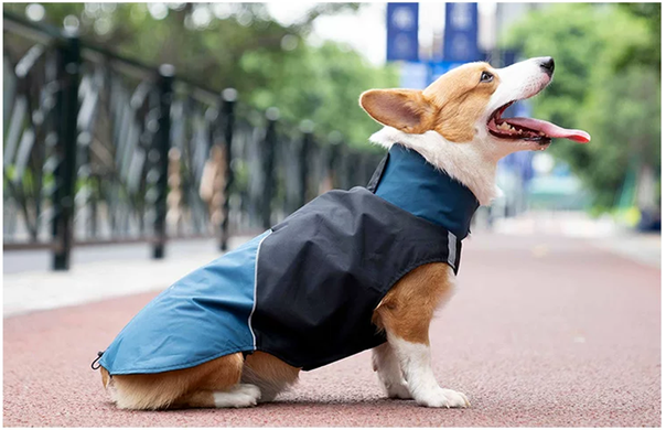 Водонепроникна куртка для собак Derby Outdoor Dog Jacket RD2613-2 Derby