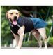 Водонепроникна куртка для собак Derby Outdoor Dog Jacket RD2613-2, M, 45-50 см, 58-66 см