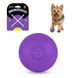 Іграшка для собак BronzeDog Superball 5 см фіолетовий