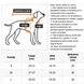 Костюм для восстановления кошек после операции ZJLIFE PET, Pink